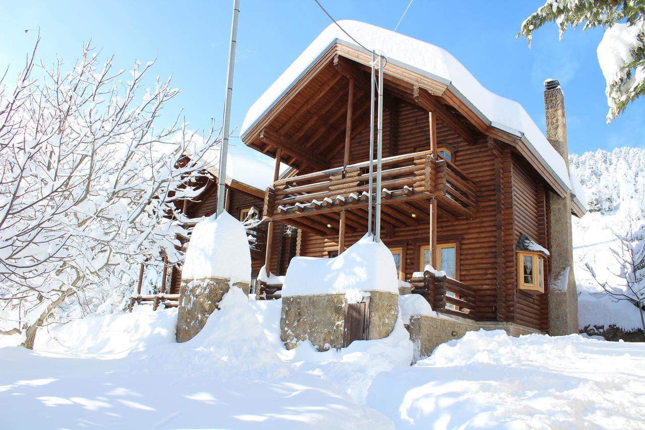 Paradise Chalet Ano Trikala Exterior photo