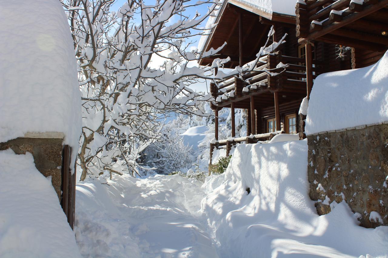 Paradise Chalet Ano Trikala Exterior photo